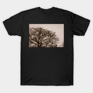 Home to roost T-Shirt